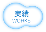 実績